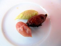 Christi eats three olives before giving up for another day, Cafe Al Markaz, Dakhla, Western Sahara, Africa Christi eats three olives before giving up for another day, Cafe Al Markaz, Dakhla, Western Sahara, Africa