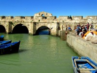 A quick dip in Essaouira harbor is an alternative to a hammam, Essaouira, Morocco, Africa