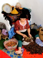 Marjana argan oil cooperative, Essaouira, Morocco, Africa