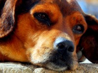 You can't help feeling relaxed in Essaouira, Morocco, Africa