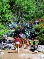Goat herders, Chefchaouen, Morocco, Africa