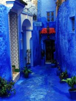 Is there such a thing as too blue? Chefchaouen medina, Morocco, Africa