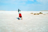 Chott el-Gharsa, Tunisia, Africa