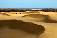 Sand dunes near Tozeur, Tunisia, Africa