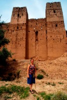 Ruins of a Berber village, Valley of Roses, Morocco, Africa