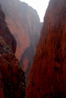 Todra Gorge, Morocco, Africa