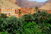 Todra Gorge, Morocco, Africa