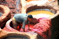 Dyeing, Chouara tanneries, Fes, Morocco, Africa