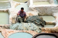 Liming, Chouara tanneries, Fes, Morocco, Africa