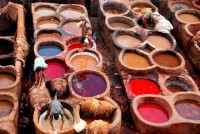 Hard at work, Chouara tanneries, Fes, Morocco, Africa