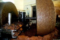 Traditional olive oil press, Fes el Bali, Fes, Morocco, Africa