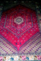 Hallucinogenic carpet experience, Fes el Bali, Fes, Morocco, Africa