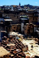 Tannery, Fes el Bali, Fes, Morocco, Africa
