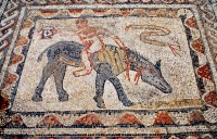 Desultor athlete, Volubilis, Morocco, Africa