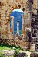 Basilica, Volubilis, Morocco, Africa
