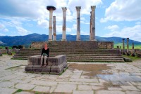 The capitol (with storks nest), Volubilis, Morocco, Africa