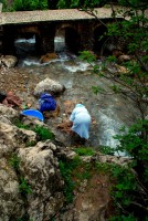 Laundering clothes along the banks of Ras el-Maa, Chefchaouen, Morocco, Africa