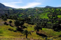 The rolling hills around Chefchaouen, Morocco, Africa