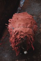 Weighed down with dyed aninal skins, Fes el Bali, Morocco, Africa