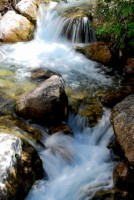 Ras el-Maa river, Chefchaouen, Morocco, Africa