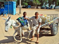 Donkey and cart, Northern Sudan