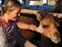 Getting friendly with the locals, Bahariya Oasis, Western desert, Egypt, Africa