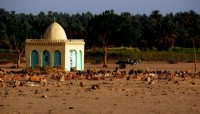 Local cemetery, Jebel Barkal, Karima, Sudan, Africa