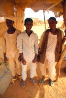 Cameleers, Omdurman, Sudan, Africa