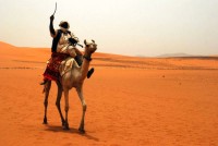 Arab cameleer, pyramids of Meroe, Begrawiya, Sudan, Africa