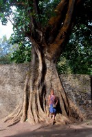 Christi at Fasiladas' Baths, Gondar, Ethiopia, Africa