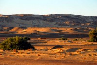 The Sahara at sunset, Bahariya Oasis, Western desert, Egypt, Africa