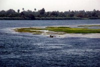 Life on the Nile, Egypt, Africa