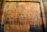 A gaggle of Gods, the Temple of Kom Ombo, Egypt, Africa
