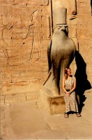 Falcon, Temple of Edfu, Edfu, Egypt, Africa