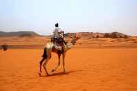 Arab cameleer, pyramids of Meroe (featuring the South Cemetery) at Begrawiya, Sudan, Africa