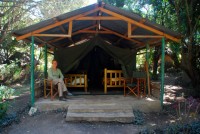 Rhino Tourist Camp, near Maasai Mara National Reserve, Kenya, Africa