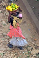 Working mother, Harar, Ethiopia, Africa