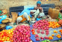 Shy local, market day, Harar, Ethiopia, Africa