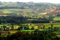 Southern Ethiopian farmland, although it could be Hobbiton!