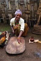 Preparing the root of the false banana plant, Dorze village, Ethiopia, Africa