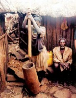 Pounding the grain, Konso village of Gamorle, Southern Ethiopia, Africa