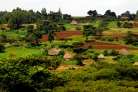 Lush, fertile lands of Southern Ethiopia, Africa