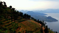 Agricultural terracing and Lake Burera, Rwanda, Africa