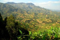 Rugged peaks of Rwanda, Africa