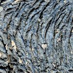 Pahoihoi lava, Isabela Island, Galapagos Islands, Ecuador