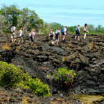 Scrambling off the beach and across a lava field, Isabela Island, Galapagos Islands, Ecuador
