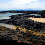 Volcanic beach, Isabela Island, Galapagos Islands, Ecuador