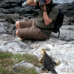 Looking for that perfect shot, South Plaza Island, Galapagos Islands, Ecuador
