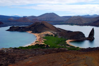 Life is taking hold, Bartolome Island, Galapagos Islands, Ecuador