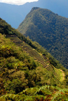 The terraces of Intipata, Inca trail, Peru